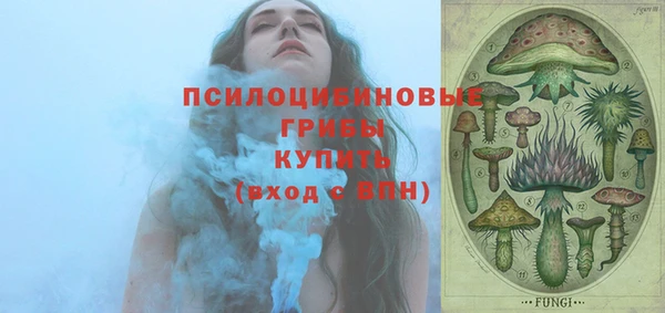 бутират Мегион