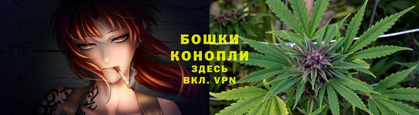 СК Медвежьегорск