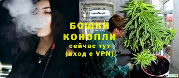 ПСИЛОЦИБИНОВЫЕ ГРИБЫ Кулебаки