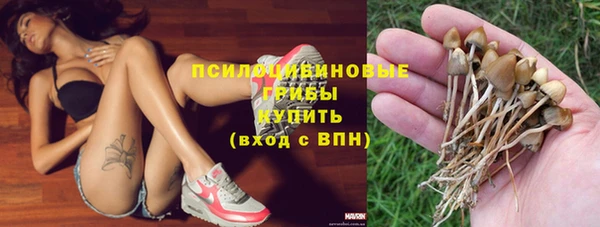 индика Лиски