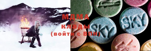 СК Медвежьегорск