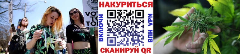 Купить где  Бежецк  Каннабис Amnesia 